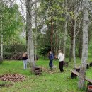 Puošia Velykalnio parką: jau augančių ąžuolų ir narcizų plantacijas šiemet papildė jurginai