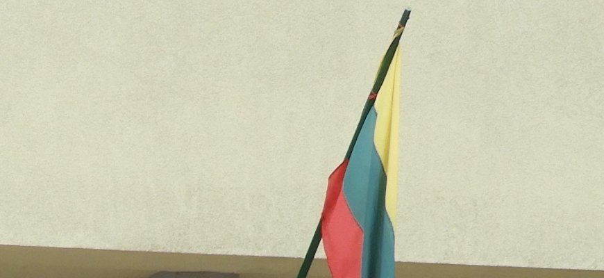 Referendumas dėl dvigubos pilietybės įvyko, bet trūksta balsų pakeisti Konstituciją