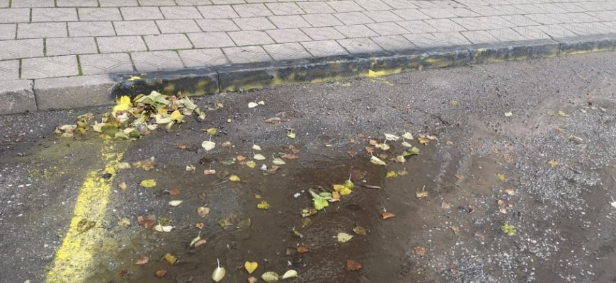 Paaiškėjo „spalvų karo“ Panevėžio gatvėje priežastys