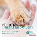 Specialistai įspėja: nuo -15°C lauke laikomus gyvūnus reikia įvesti į vidaus patalpas