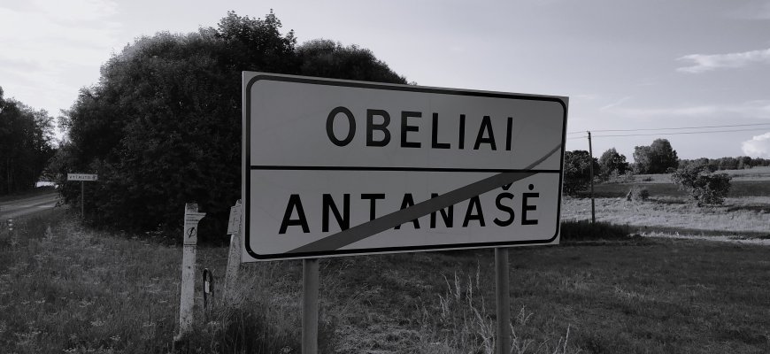 Obeliuose sumušta mergaitė