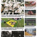 Naujausiame „Rokiškio Sirena“ numeryje skaitykite
