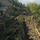Miškavežių suniokotas kelias neliko nepastebėtas: po gyventojo skundo – įsipareigojimas sutvarkyti