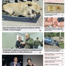 Naujausiame „Rokiškio Sirena“ numeryje skaitykite