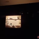 Vasarą sutiko vėl atgaivindami lėles... (foto)