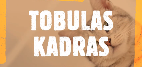 Rokiškio rajono mokinių, turinčių specialiųjų ugdymosi poreikių, virtuali fotografijų paroda ,,Tobulas kadras‘‘ (video)