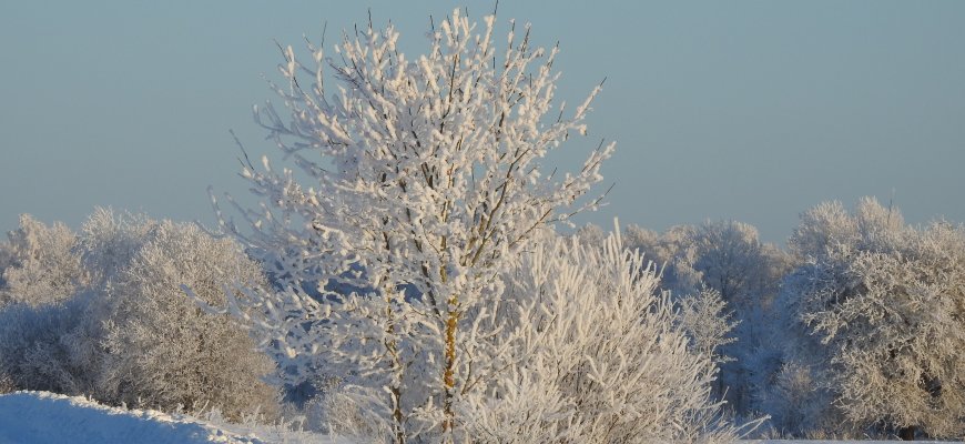 Sinoptikė: kiekviena šios savaitės diena bus vis šaltesnė
