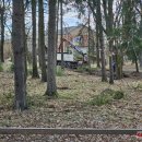 Tvarkomas parkas tarp Rokiškio rajono ligoninės ir psichikos centro (foto+video)