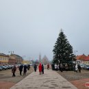 Rokiškėnai namo nešėsi eglės ir pušies šakų bei pirmą kartą – Betliejaus taikos ugnį (foto)
