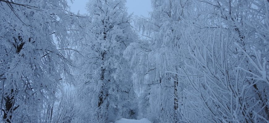 Lietuvoje antrąkart fiksuota žemiausia oro temperatūra per pastaruosius dvejus metus