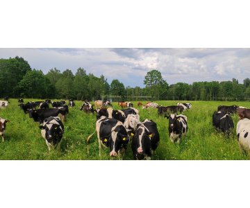 Ieškomi darbuotojai su gyvuliais