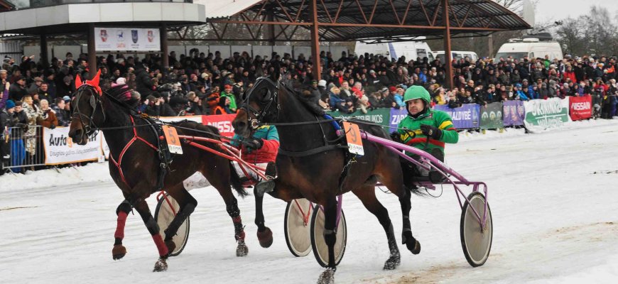 Žiūrovus džiugins 7 bėgimai, o sportininkus – 17 600 eurų prizinis fondas