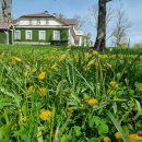 Gačionių dvaras vėl priima lankytojus: tai, ką parodo naujieji šeimininkai, yra netikėta ir įspūdinga (foto)