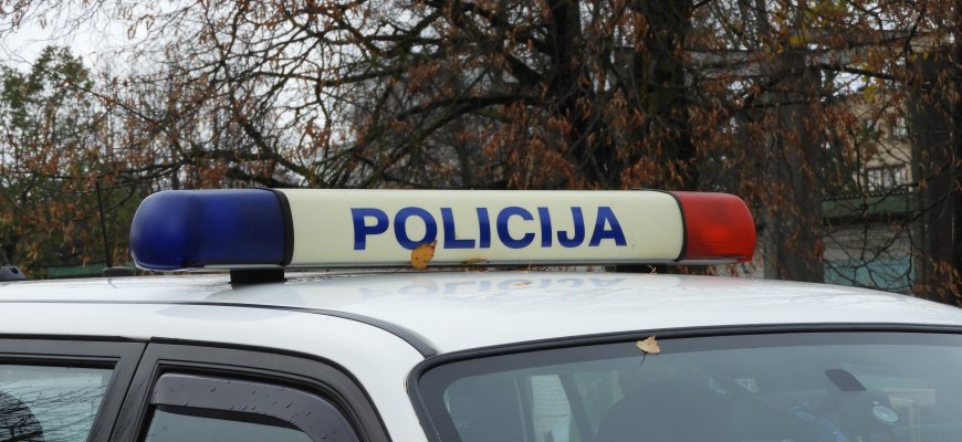 Neblaivi vairuotoja atsitrenkė į medvežį