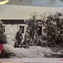 Tituluočiausias alpakų ūkis Lietuvoje priklauso Klaipėdoje gyvenantiems kraštiečiams T. ir G. Tarvydavičiams (foto)