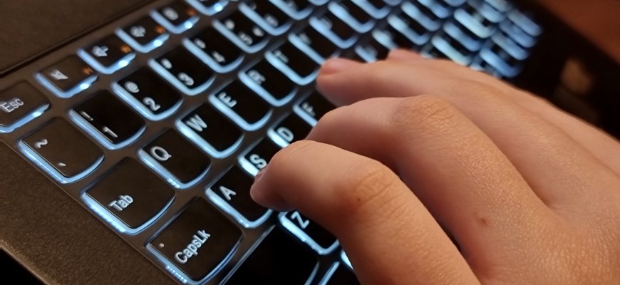 Prevencijai: naujausi sukčiavimo atvejai