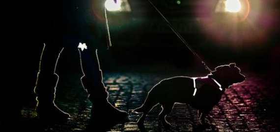 Neišvengiama rudens problema – „nematomi“ pėstieji