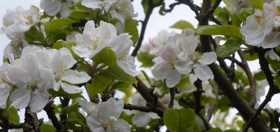 Orai: šiluma nelepins ir lis iki ketvirtadienio 