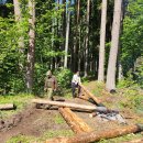 Kedena istorijos klodus – dar kartą atstatytas Obelių šile esantis partizanų bunkeris (foto)