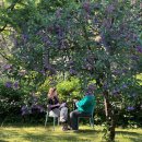 „Širšių lizdas“ – stovykla ne apie pykčius, o apie tvirtą tarpusavio ryšį (foto)