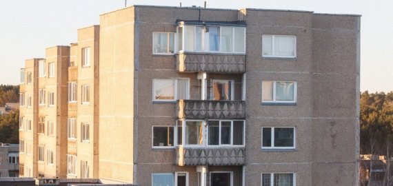 Rokiškyje žiaurus elgesys su gyvūnais: vyriškis pro langą išmetė šunį ir katę 