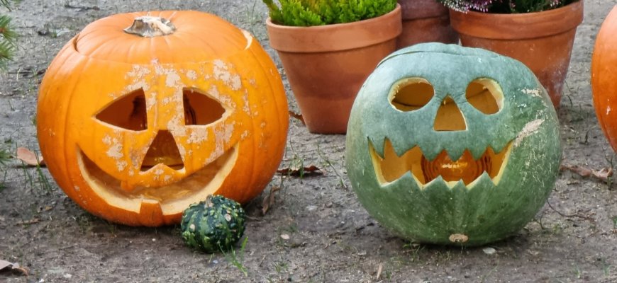 Kviečia prisidėti prie tradicijos Juodupėje - „Šviečiančių moliūgų kiemas
