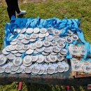 Tradicinis bėgimas atminties vardan vėl subūrė virš pusšimčio dalyvių (foto)