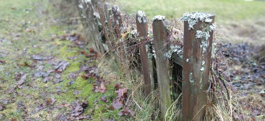 Paryčiais gelbėjo tvoroje įstrigusią moterį