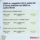 Audros padariniai Rokiškyje: ko pasimokyta ir kaip rengiamasi ateičiai?