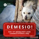 Specialistai įspėja: nuo -15°C lauke laikomus gyvūnus reikia įvesti į vidaus patalpas