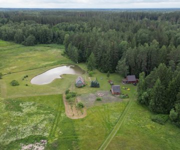 Vienkiemis prie pat Rokiškio miesto