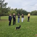 Rokiškio J. Tumo-Vaižganto progimnazijos bendruomenės šventė drebino Velykalnio parką (foto+video)