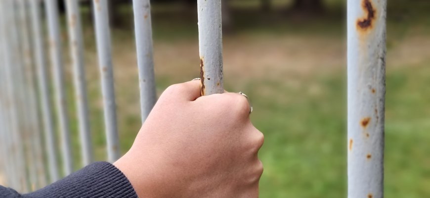 Antradienį jau fiksuota apie 170 neteisėtų bandymų patekti į Lietuvą