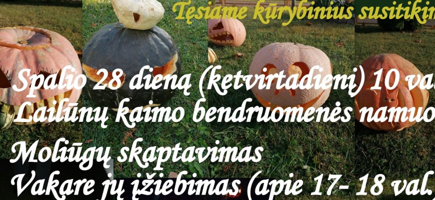 Kūrybinis susitikimas Lailūnų kaimo bendruomenės namuose