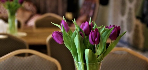 Studija „Šokantys mažyliai“ kviečia mamytes kartu švęsti Moters dieną