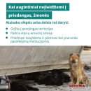 Krizės metu žmonės neturėtų rinktis tarp savo saugumo ir augintinio: Lietuvai reikia aiškios tvarkos dėl gyvūnų priedangose