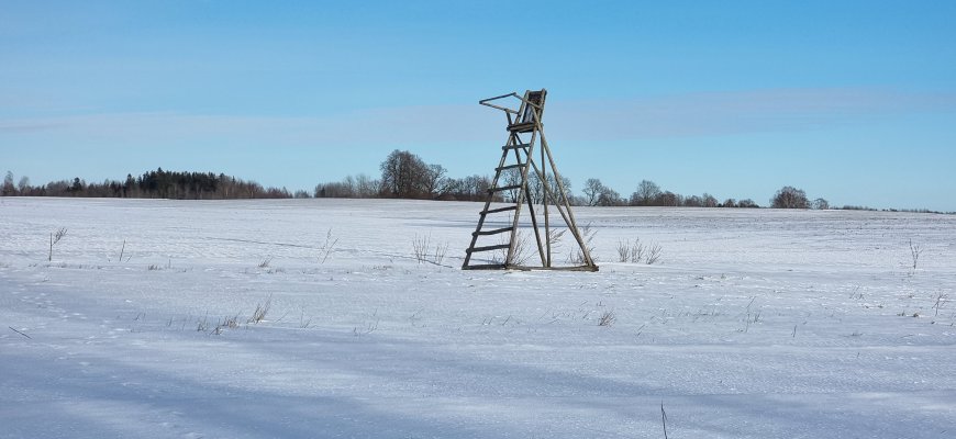 Gili žiema iššūkiu tapo ir laukiniams gyvūnams – į pagalbą jiems skubėjo net ūkininkai