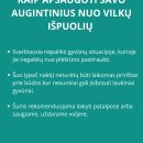 Atėjo vilkų išpuolių metas – kiek šunų prie būdų bus pasmerkti mirti šiemet?