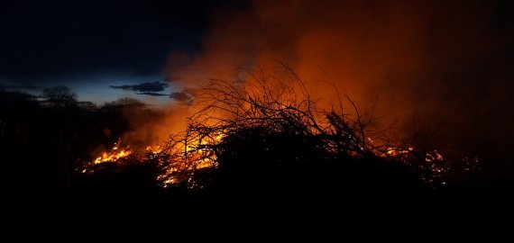 Jei šernai mokėtų kalbėti, paprašytų akių lašų ir respiratorių