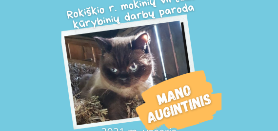 Rokiškio rajono mokinių virtuali kūrybinių darbų paroda „Mano augintinis“