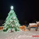 Išrinktos gražiausiai šv. Kalėdoms pasipuošusios rajono sodybos: ypatingas dėmesys – Panemunėlio seniūnijai