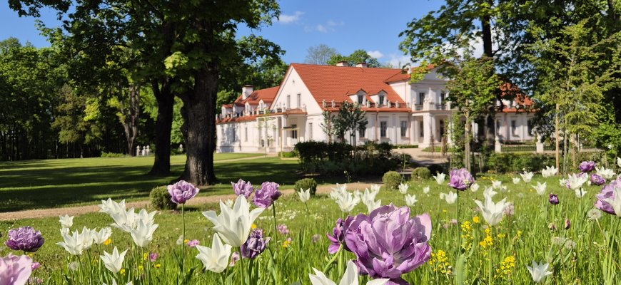 Užburiantis vaizdas: pražydęs Ilzenbergo dvaro parkas nepaliks abejingų