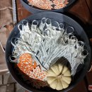 „Pyragų diena“ prasidėjo anksčiau: „Ąžuoliukas“ lėšas rinko bendruomenės „dalelei“ Ignei (foto)