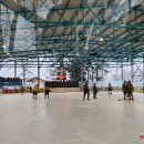 „Grizliai“ įveikė „Vilkus“ – pergalėmis pažymėtas žaidimas pamažu įsibėgėja 