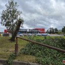 Rokiškį nusiaubė audra (video+foto)