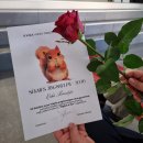 Mokslo metus Rokiškio J. Tūbelio progimnazija užbaigė tradiciniu renginiu „Sėkmės žingsneliai“ (foto)
