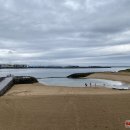 Rokiškėnas R. Grigas ketverius metus narplioja vulkaninius paslaptingosios Islandijos klodus  (foto+video)