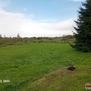 Aukcione parduodamas sklypas