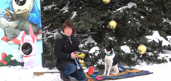 Šunų dresūra. Informacija apie šunų žaislus (video)