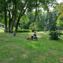 Ilzenbergo dvaro tradicija – šunų festivalis: šį kartą nustebino aklo šuns pasirodymas (foto)